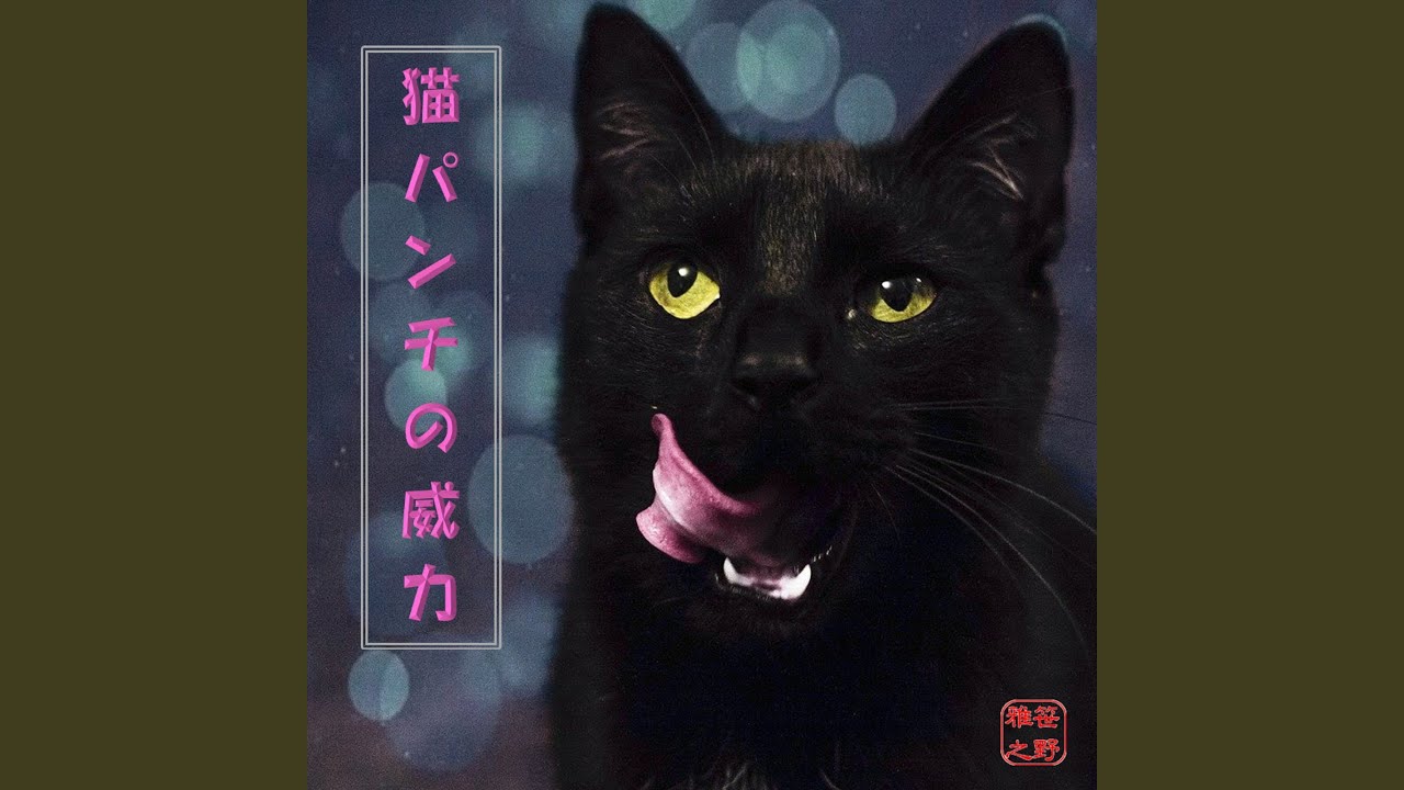 猫パンチの威力 Youtube 猫パンチの威力 Youtube
