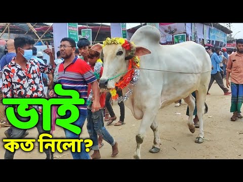 Bhai Koto Nilo? Gabtoli Gorur Haat 2022 - Part 50 | Qurbani Cow Price in Bangladesh | Haat Update