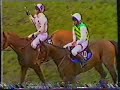 1988 Coral Golden Hurdle Final (Handicap) - Cheltenham 16-03-1988