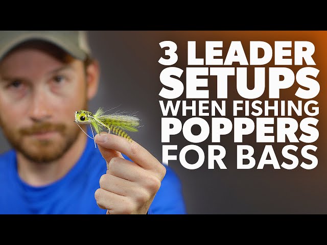 3 Leader OPTIONS When Fishing POPPERS For BASS 