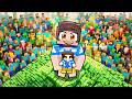 Minecraft VS BoraLo Takipçileri