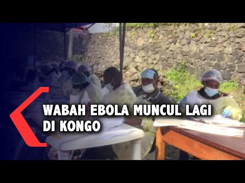 Video: Para Saintis Memberi Amaran Tentang Kemungkinan Munculnya Ebolavirus Berbahaya Baru - Pandangan Alternatif