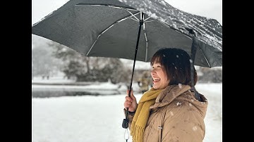 HOT!!! Chữa đề đọc hiểu N2 tháng 12/2025