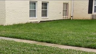 19-year-old found stabbed to death in Fairfax County, Virginia | NBC4 Washington