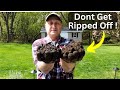 Cheaper to Make Potting Soil Yourself