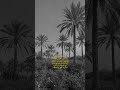 اذا تطلب مني عمري مااعز عمري عليك
