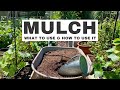 Mulching your garden what to use and how to use it