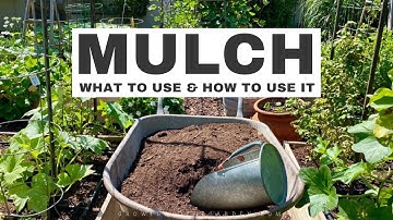 MULCHING YOUR GARDEN: WHAT to use and HOW to use it