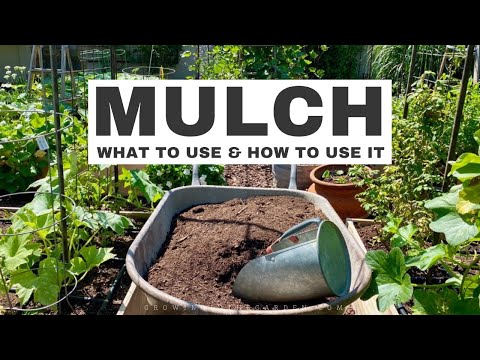 MULCHING YOUR GARDEN: WHAT to use and HOW to use it