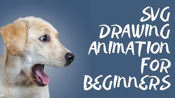 Simple SVG Drawing Animation