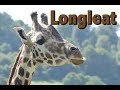Longleat safari and adventure park
