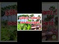 இயக்க பனைமரம் விழிப்புணர்வு உறுதிமொழி பதாகைகள்