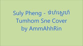 Suly Pheng - ទំហំស្នេហ៏ Tumhom Sne (COVER by AmmAhhRin) Resimi