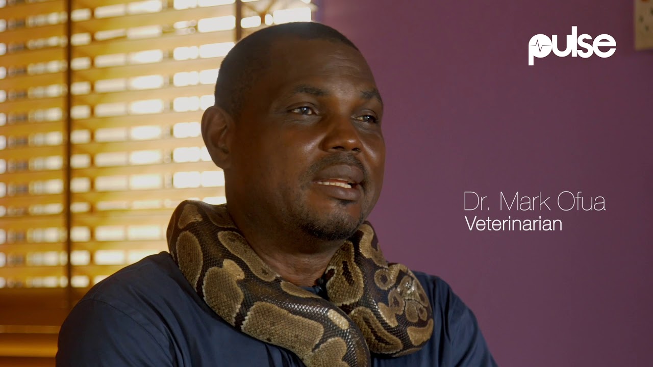 "I Consider Myself To Be A Voice For The Snakes" - Dr, Mark Ofua | PulseTV Life in Naija