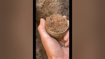 Soil Bulk Density and Carbon Stock with Dr. Shannon Cappellazzi