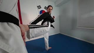 Mastering the Taekwondo Back Kick - Your Secret Weapon