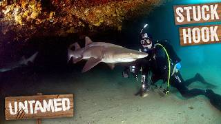 The Shark That Couldn't Escape the Hook | Bondi Vet Marathon | Untamed