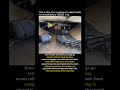 One Wrong Bag Can Unbalance the Entire Plane #safety #aviation #cargo