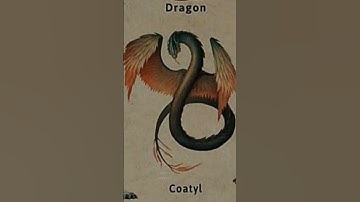 Thumbnail of noun 2 Types of Dragon | #Dragon#bangxeiy #coatyl #fyp#shots