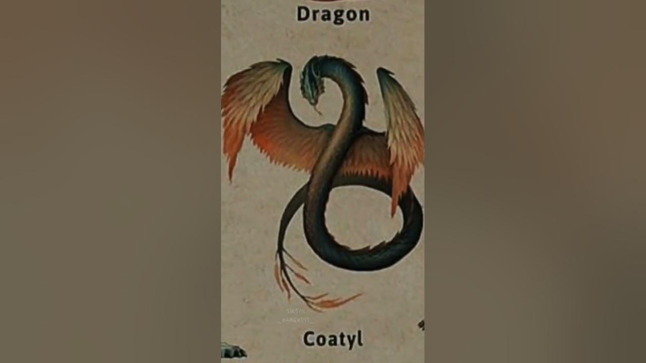noun 2 Types of Dragon | #Dragon#bangxeiy #coatyl #fyp#shots
