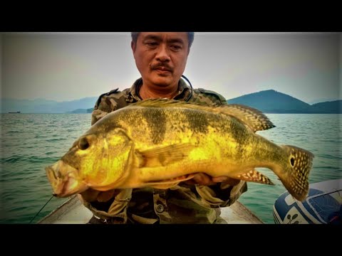 Video HAPPY NEW YEAR 2023- PHẦN 1- TRUY TÌM HOÀNG ĐẾ THÁC BÀ - youtube