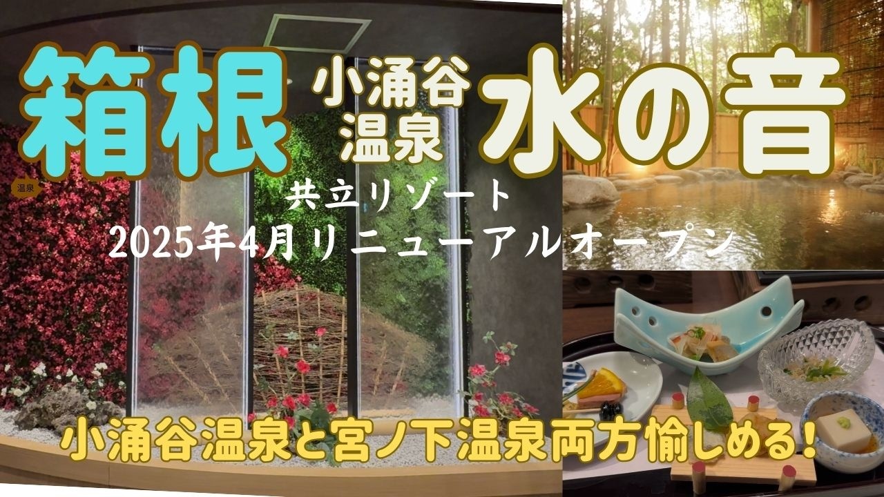 【箱根小涌谷温泉 水の音】2025年4月リニューアル！2種の温泉×無料貸切風呂が最高すぎた｜共立リゾート宿泊レビュー