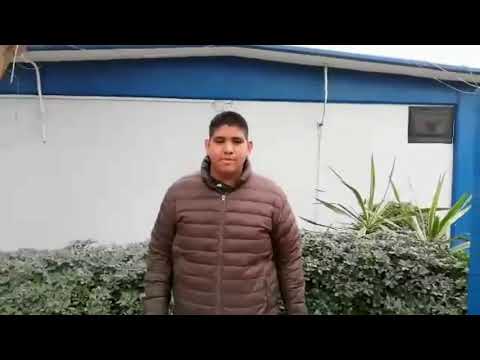 Como afecta la