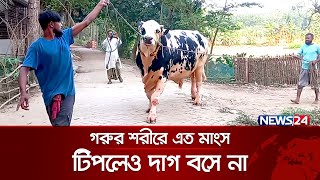 মাংসের ভারে হাঁটতে পারে না ‘ভাইজান’ | News24 ‍Special