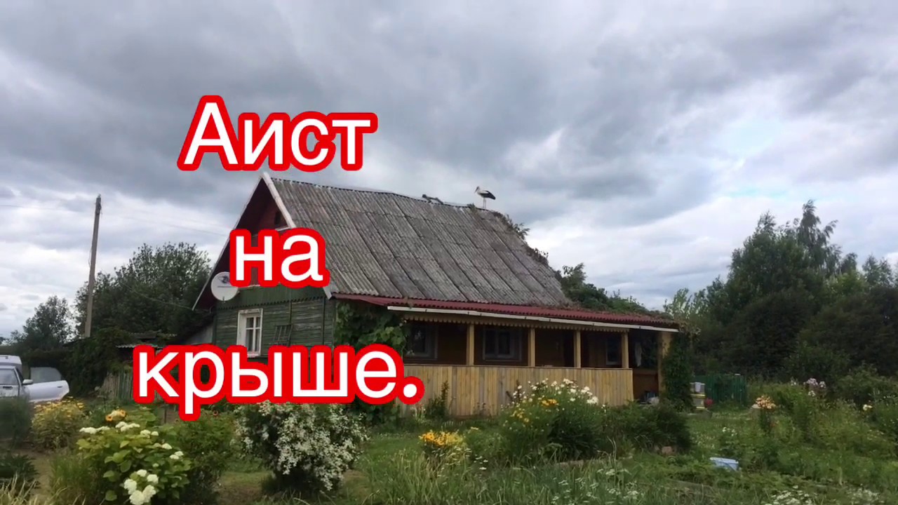 Аист на крыше слова текст. Аист на крыше мир на земле. Люди потише Аист на крыше. Аисты на крыше. Аист на крыше Тухманов.