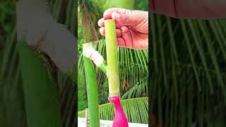 Back to basics with some bamboo craft magic. ✨ #bamboo #shortvideo #diy #toys #craft #balloon