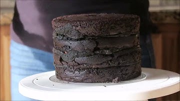 Halloween Black Cat Cake