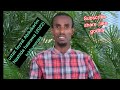 Nashida Haarawa Tokkummaa 2022 By Ustaz Feysal Abdulkerim Subscribe Share Like Godha Nashida Haarawa Tokkummaa 2022 By Ustaz Feysal Abdulkerim Subscribe Share Like Godha