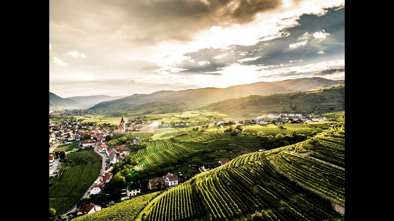 Das Weinbaugebiet Wachau