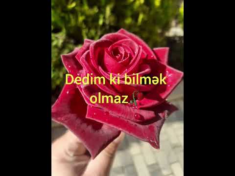 Damla əzizim watsapp status üçün maraqlı video