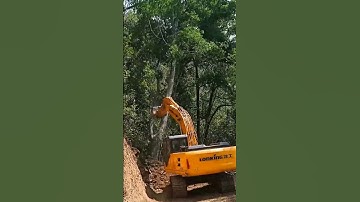 Removing trees  making  new road  jcb#shorts#short #trending
