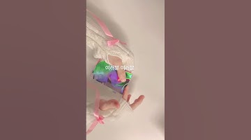 포카포장하기 #관리자님추천뜨게해주세요 #tiktok #떡상드가자 #추천 #포카포장 #포카계# 179명 감사합니다 180명가자 #알고리즘부탁해 #떡상기원 #떡상하고싶다