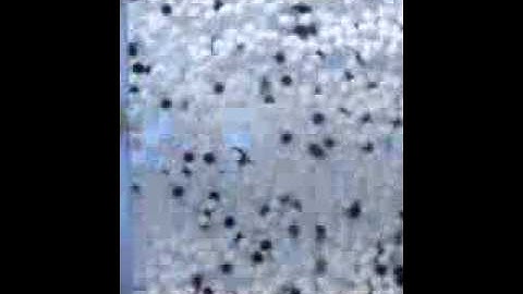 Fluidization of magnetically susceptible particles - without magnetic field