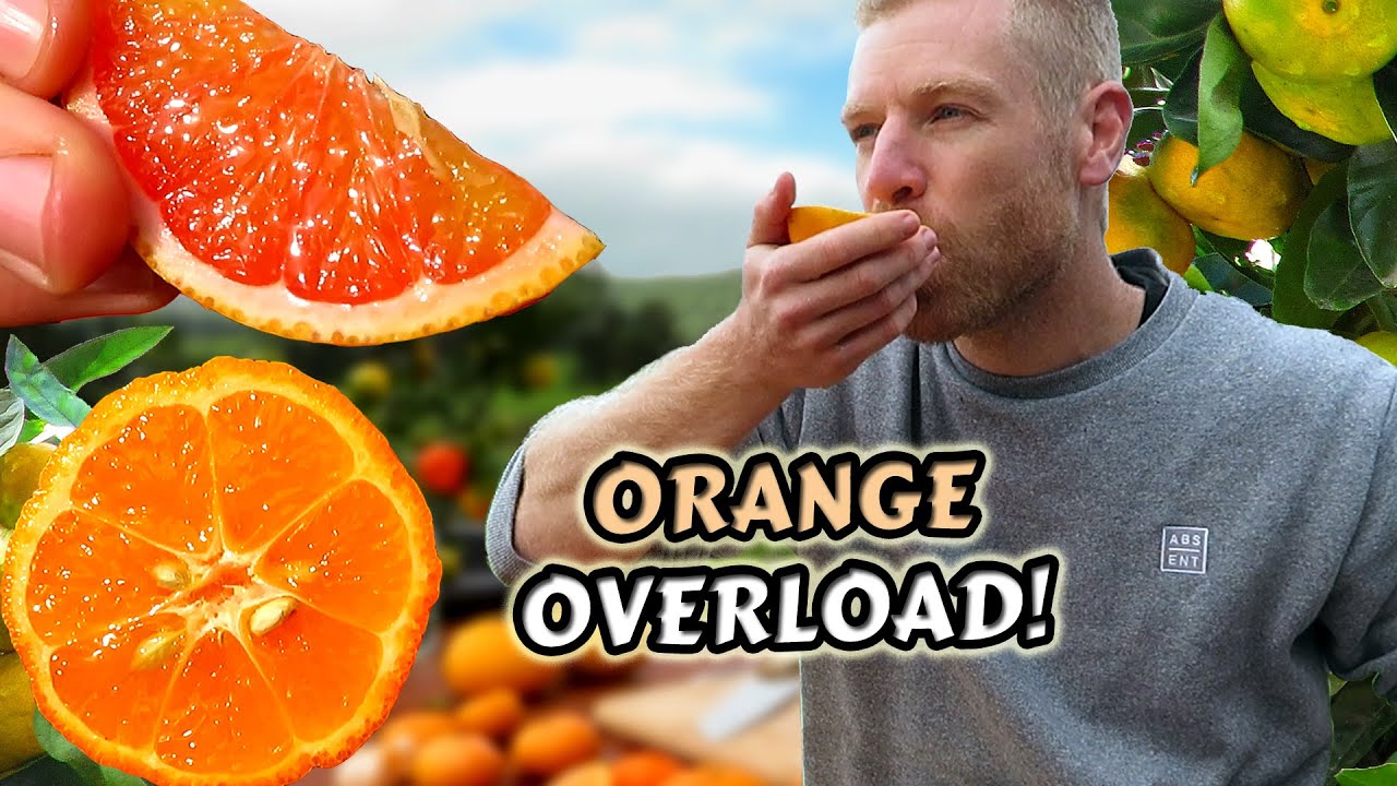 7 Citrus Fruits You've Got To Try Mango Orange, Rangpur Lime