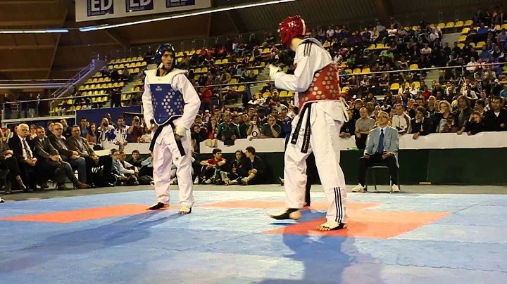 Dutch Open 2012 Taekwondo Final Aaron Cook VS Seba...