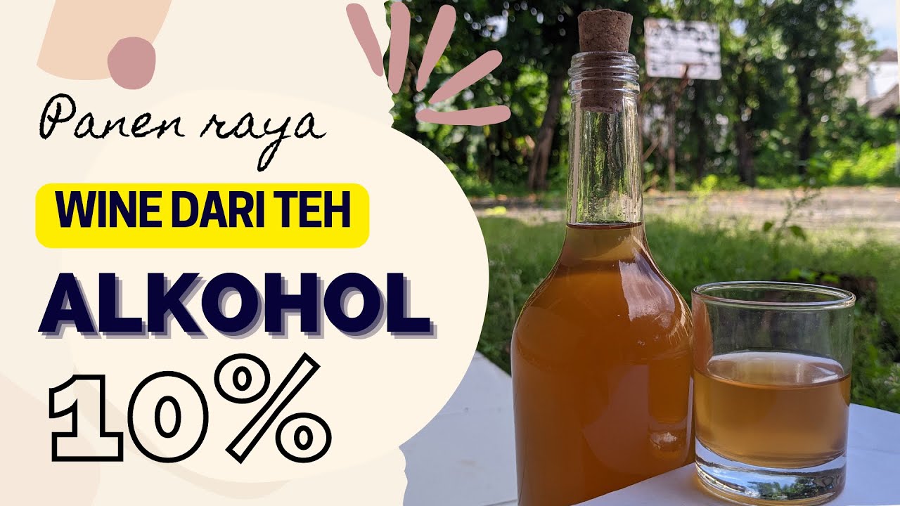 FERMENTASI TEH SERBUK MENJADI WINE YANG ENAK DENGAN KADAR ALKOHOL 10% | Part 2