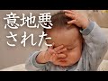【離乳食】初めてのさつまいも！食べ方が可愛いすぎてパパに意地悪される！