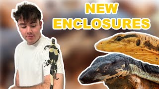 My Giant Monitor Lizards Get Brand *NEW* Enclosures! (DIY Enclosure Setup)