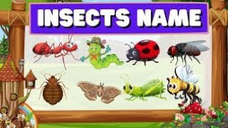 20 insects name in Hindi and English। कीड़ों के नाम हिंदी और अंग्रेजी में। Insects name.