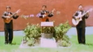 Miniatura del video "CORAZON LOCO Los Antares"