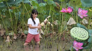 【二米炊烟】Lotus Root 蓮藕的花/葉/根莖/果實都可以做成不同的美食: 叫花雞&藕盒&桂花蜜藕...