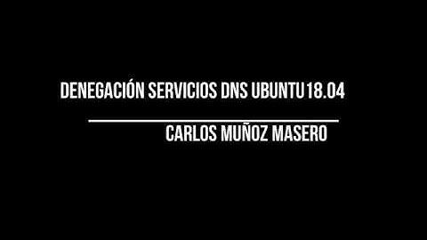 Denegación de servicios DNS Ubuntu 18.04 IES Palomeras Vallecas.