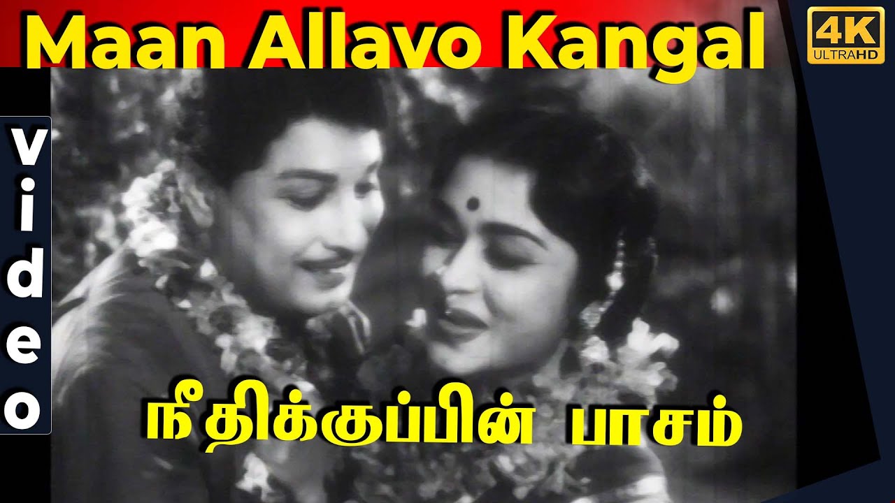 Maan Allavo Kangal Video Song  Neethikku Pin Paasam movie  MGR Saroja Devi