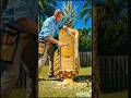 He Built a Secret Room Inside a Giant Pineapple 🍍🤯 (Wait Till You See Inside!)