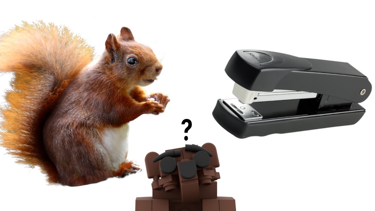 Squirrel Stapler? YouTube