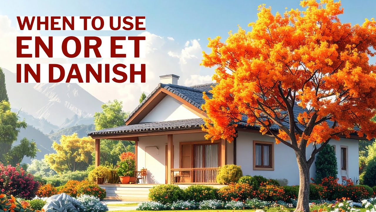 When To Use En and Et in danish
